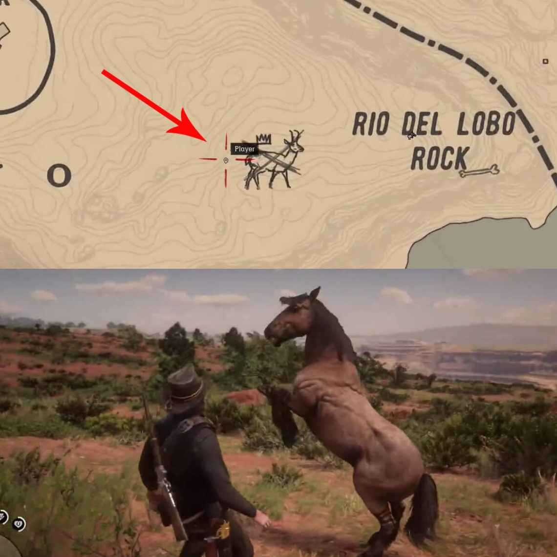 Red Dead Redemption 2 Where To Find The Ultra Rare Wild Horses   Rdr 2 Tiger Striped Bay Wild Mustang Horse 1112 1140x1140 