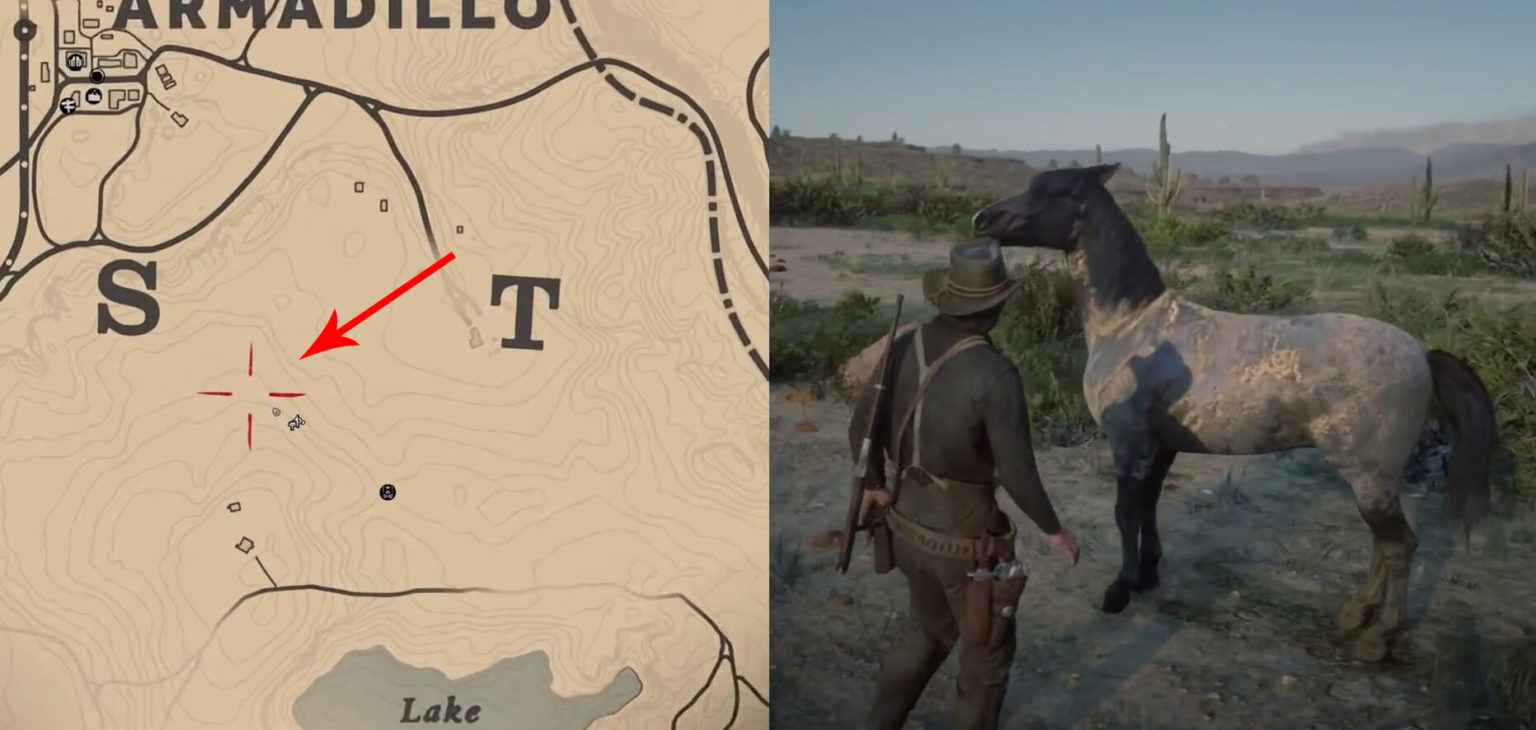 Карта диких лошадей rdr 2